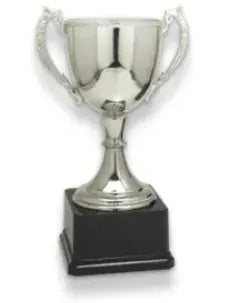 Trophy Cups